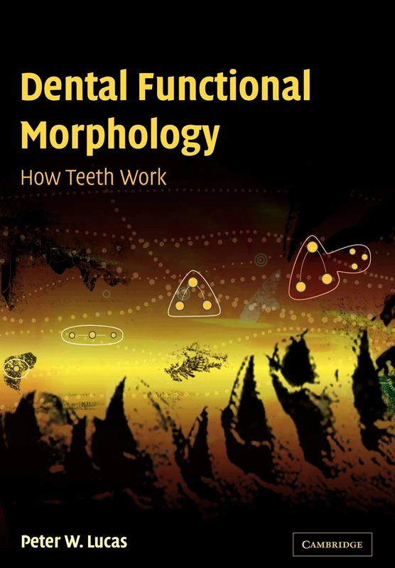 Dental Function Morphology: How Teeth Work