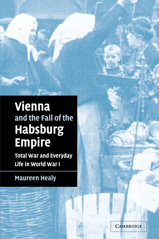 Vienna and the Fall of the Habsburg Empire: Total War and Everyday Life in World War I: 17 (Studies in the Social and Cultural History of Modern Warfare, Series Number 17)
