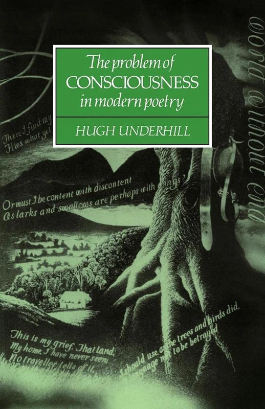Problem Consciousness Modern Poetry