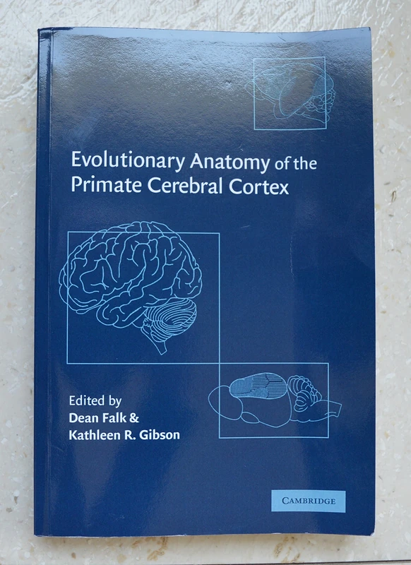 Evolutionary Anatomy of the Primate Cerebral Cortex