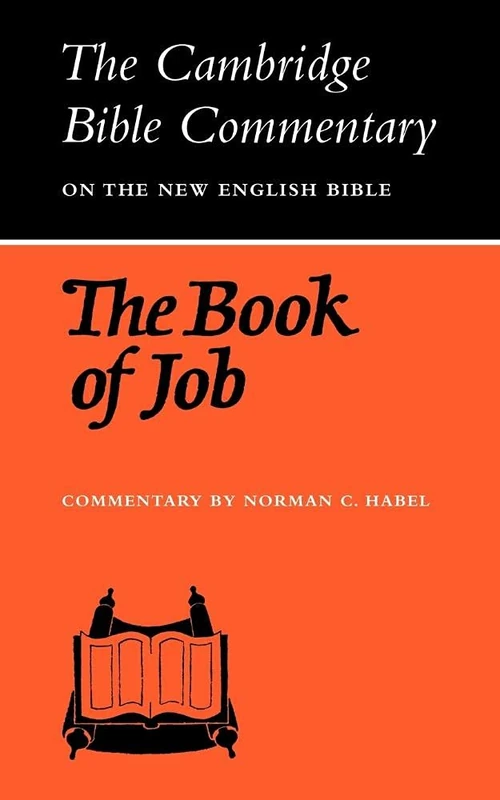 The Book of Job (Cambridge Bible Commentaries on the Old Testament)