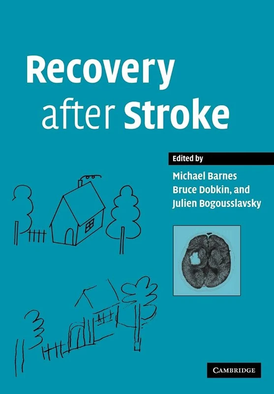 Recovery after Stroke