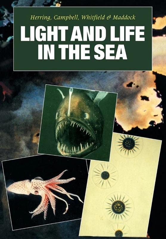Light and Life in the Sea