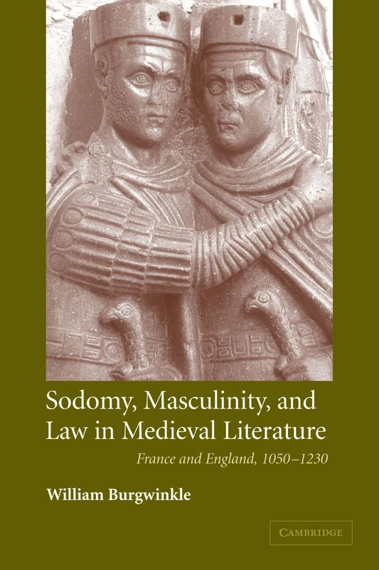 Sodomy, Masculinity and Law in Medieval Literature: France and England, 1050-1230: 51 (Cambridge Studies in Medieval Literature, Series Number 51)