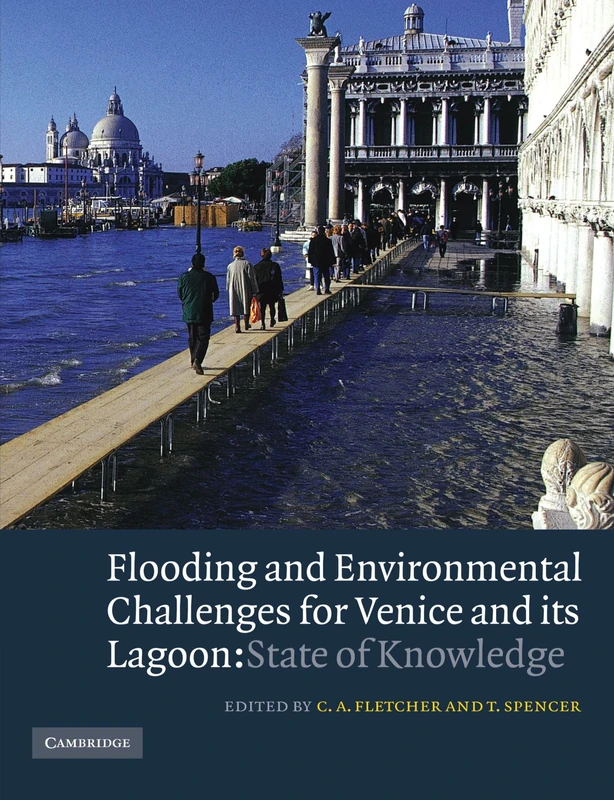 Flooding and Environmental Challenges for Venice and its Lagoon: State of Knowledge - Image 1