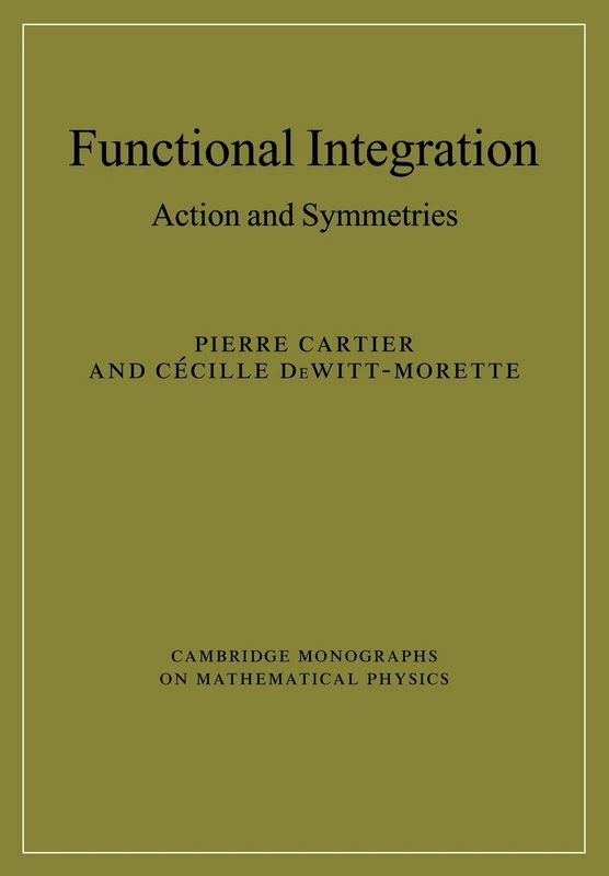 Functional Integration: Action and Symmetries (Cambridge Monographs on Mathematical Physics)