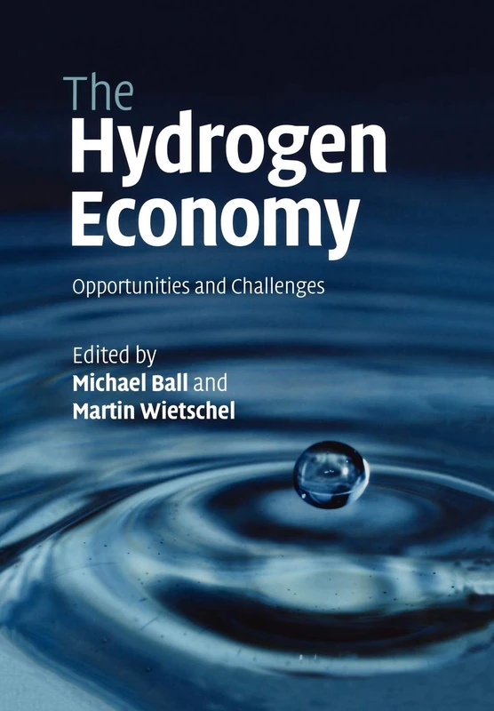 The Hydrogen Economy: Opportunities and Challenges