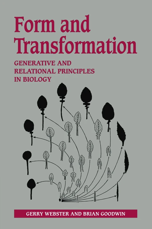 Form and Transformation: Generative and Relational Principles in Biology - Image 1