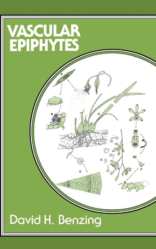 Vascular Epiphytes: General Biology and Related Biota (Cambridge Tropical Biology Series) - Image 1