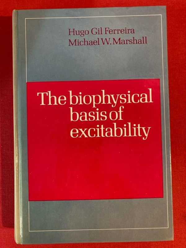 The Biophysical Basis of Excitability