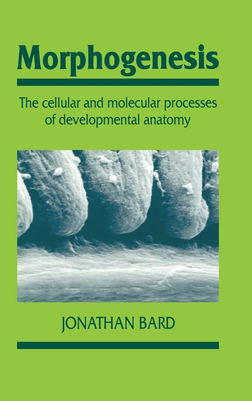 Morphogenesis: The Cellular and Molecular Processes of Developmental Anatomy: 23 (Developmental and Cell Biology Series, Series Number 23)