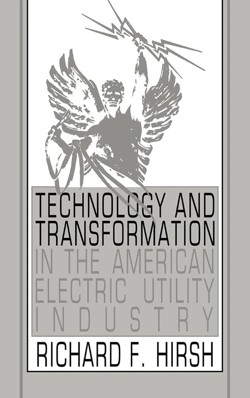 Technology and Transformation in the American Electric Utility Industry - Image 1