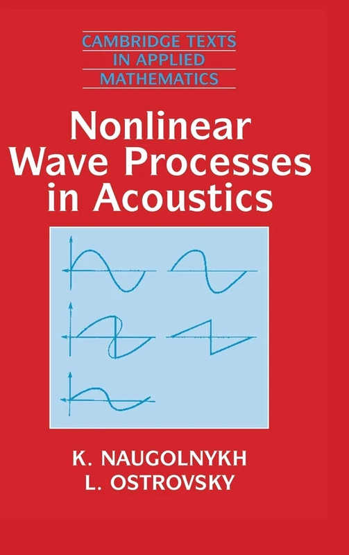 Nonlinear Wave Processes in Acoustics: 9 (Cambridge Texts in Applied Mathematics, Series Number 9)