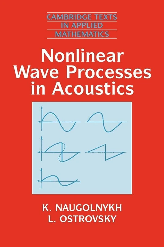 Non-Linear Wave Processes Acoustics: 9 (Cambridge Texts in Applied Mathematics, Series Number 9)