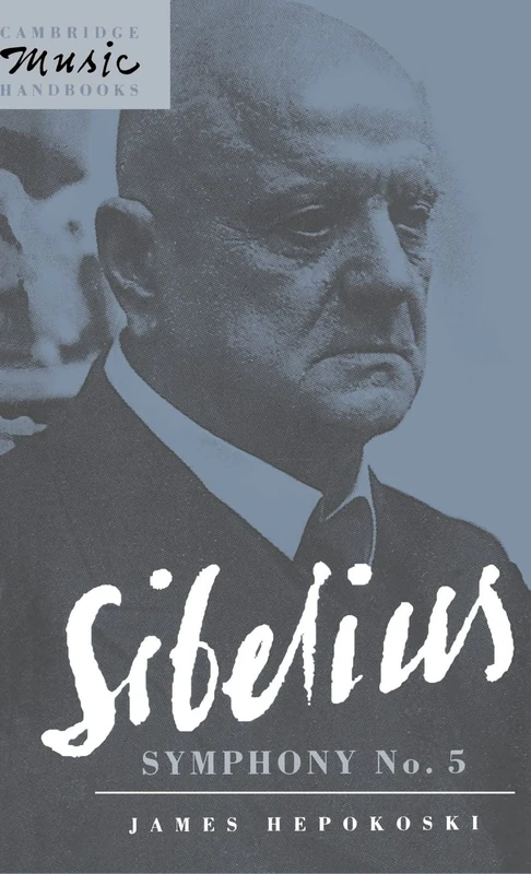 Sibelius: Symphony No. 5 (Cambridge Music Handbooks)