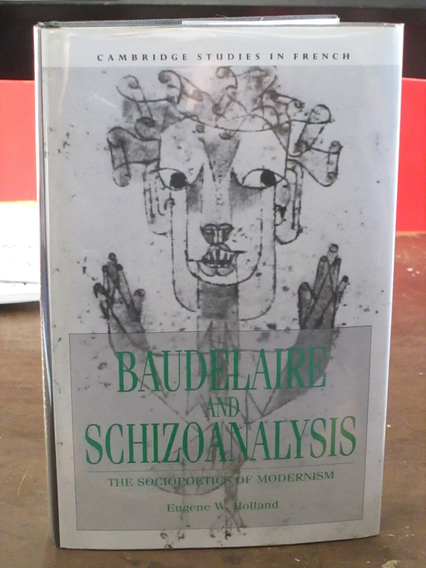 Baudelaire and Schizoanalysis: The Socio-Poetics of Modernism: 45 (Cambridge Studies in French, Series Number 45)