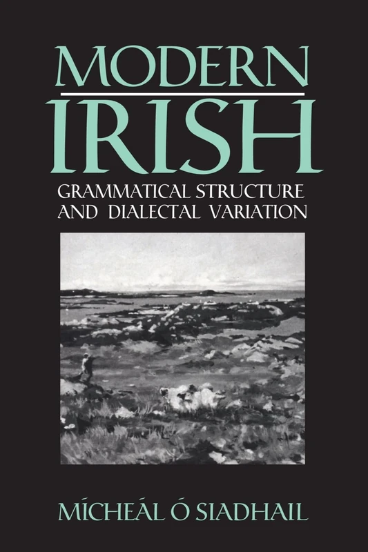 Modern Irish: Grammatical Structure and Dialectal Variation (Cambridge Studies in Linguistics)