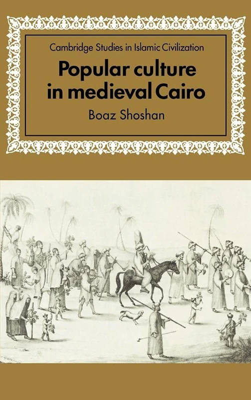Popular Culture in Medieval Cairo (Cambridge Studies in Islamic Civilization)
