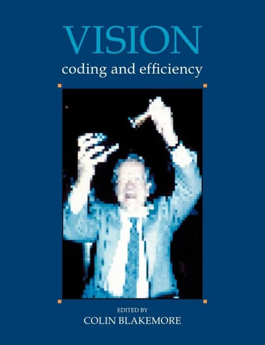 Vision: Coding and Efficiency: Coding and Efficiency