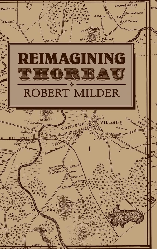 Reimagining Thoreau: 85 (Cambridge Studies in American Literature and Culture, Series Number 85)