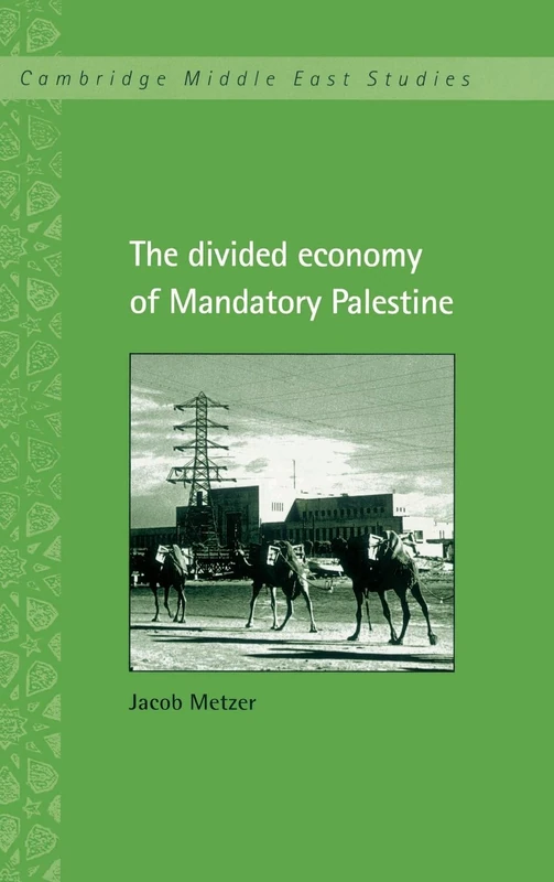 The Divided Economy of Mandatory Palestine: 11 (Cambridge Middle East Studies, Series Number 11)