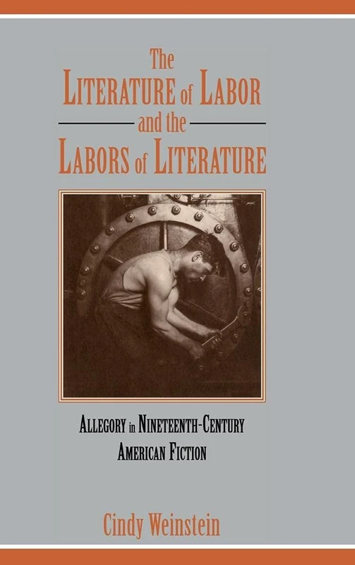 The Literature of Labor and the Labors of Literature: Allegory in Nineteenth-Century American Fiction: 89 (Cambridge Studies in American Literature and Culture, Series Number 89)