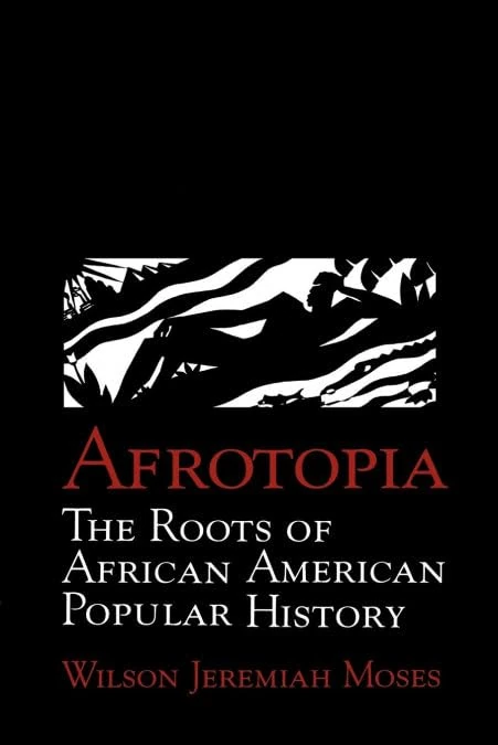 Afrotopia: The Roots of African American Popular History: 118 (Cambridge Studies in American Literature and Culture, Series Number 118)