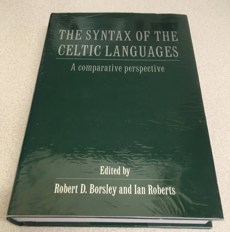 The Syntax of the Celtic Languages: A Comparative Perspective
