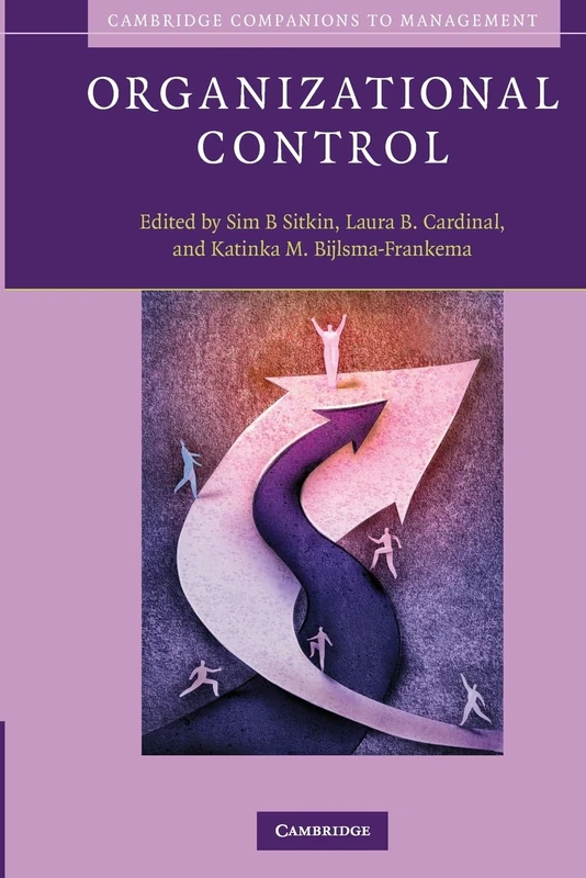 Organizational Control (Cambridge Companions to Management)