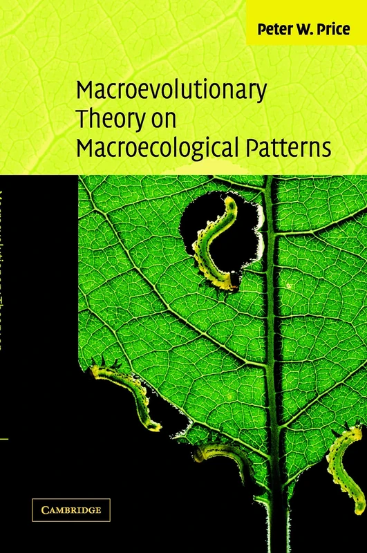 Macroevolutionary Theory on Macroecological Patterns