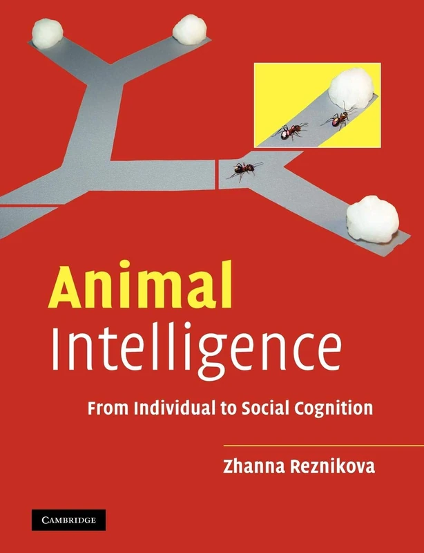 Animal Intelligence: From Individual to Social Cognition