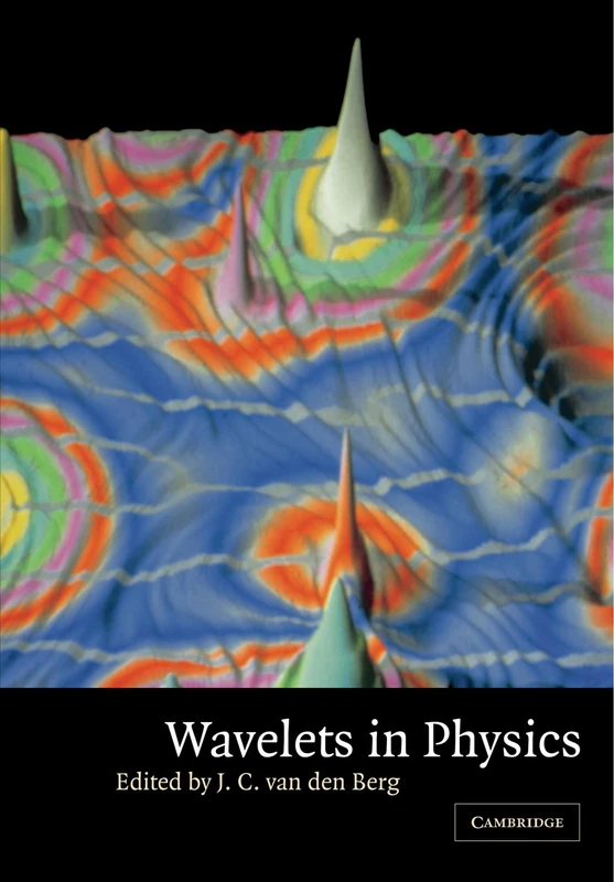 Wavelets in Physics
