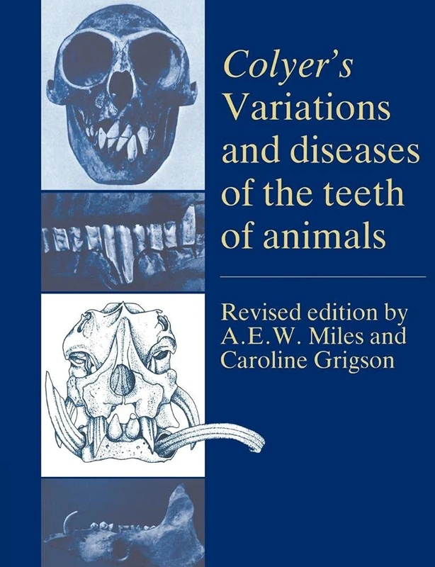 Colyers Variations, Diseases Teeth - Image 1