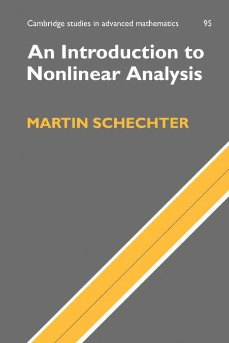 An Introduction to Nonlinear Analysis: 95 (Cambridge Studies in Advanced Mathematics, Series Number 95)