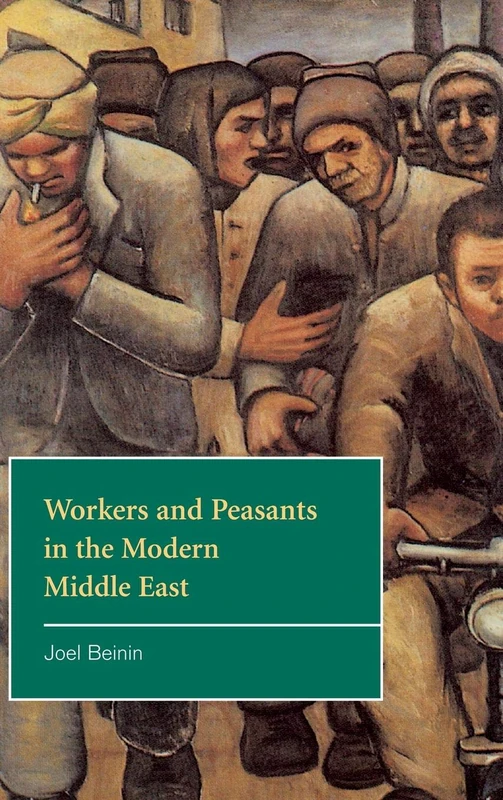 Workers and Peasants in the Modern Middle East: 2 (The Contemporary Middle East, Series Number 2)