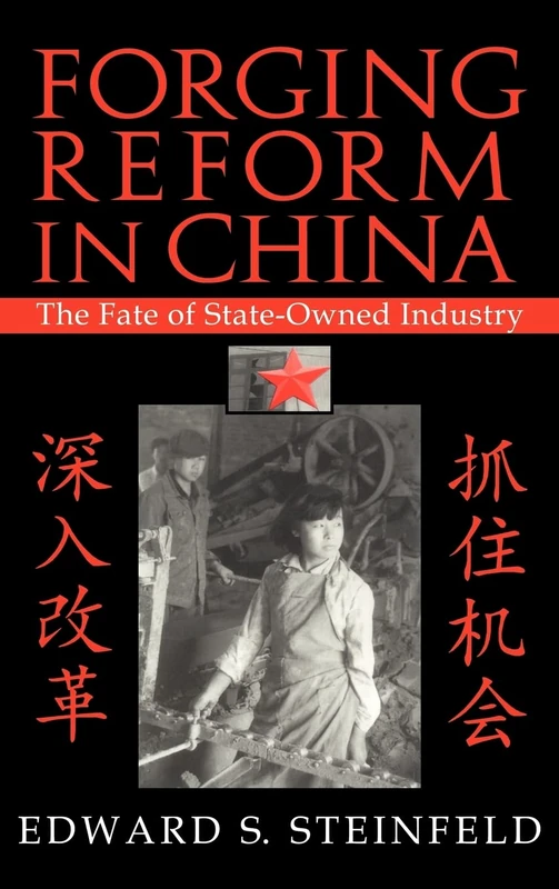 Forging Reform in China: The Fate of State-Owned Industry (Cambridge Modern China Series)