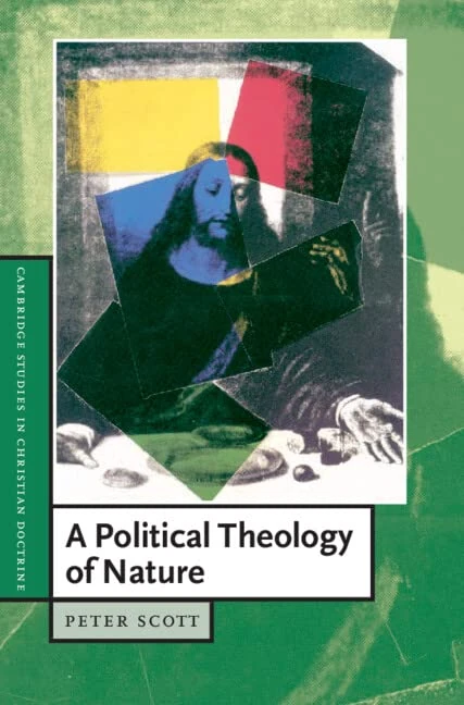 A Political Theology of Nature: 9 (Cambridge Studies in Christian Doctrine, Series Number 9)