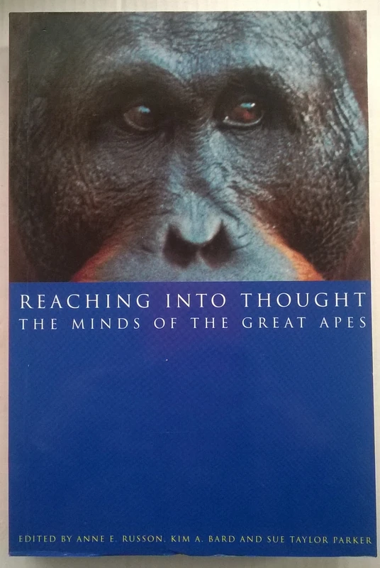 Reaching into Thought: The Minds of the Great Apes