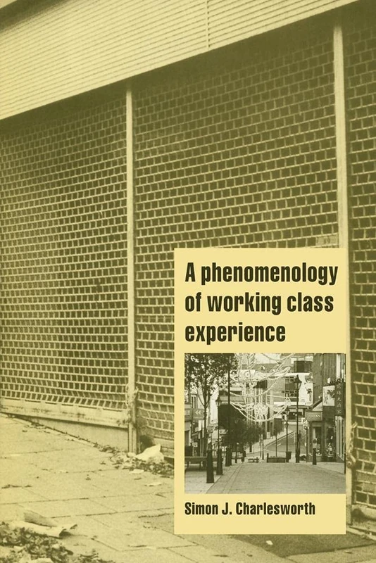 A Phenomenology of Working Class Experience (Cambridge Cultural Social Studies)