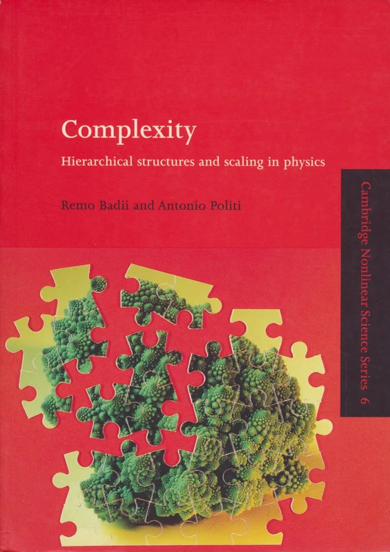 Complexity: Hierarchical Structures: Hierarchical Structures and Scaling in Physics: 6 (Cambridge Nonlinear Science Series, Series Number 6)