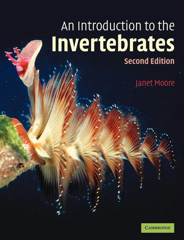 An Introduction to the Invertebrates - Image 1