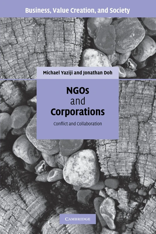 NGOs and Corporations: Conflict and Collaboration (Business, Value Creation, and Society)