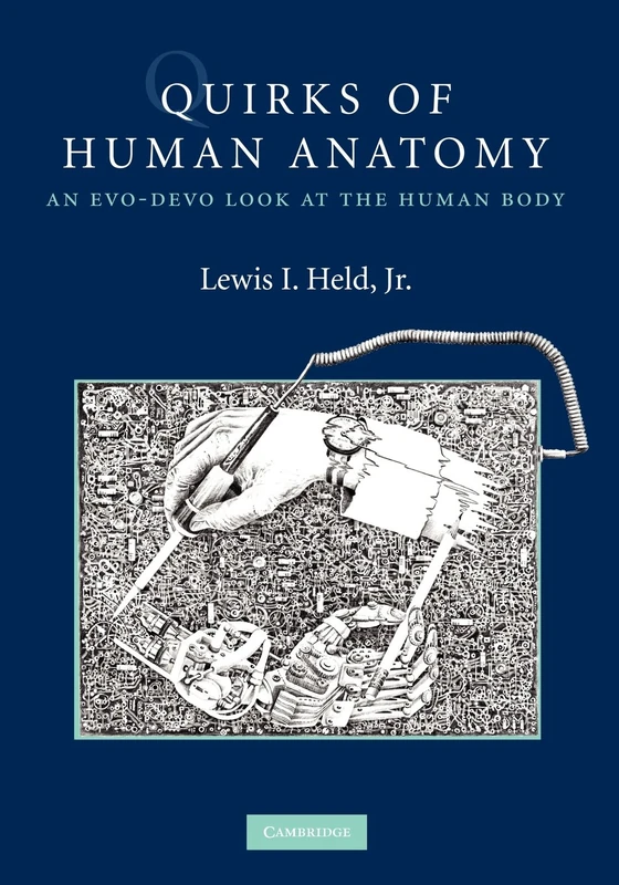 Quirks of Human Anatomy: An Evo-Devo Look at the Human Body