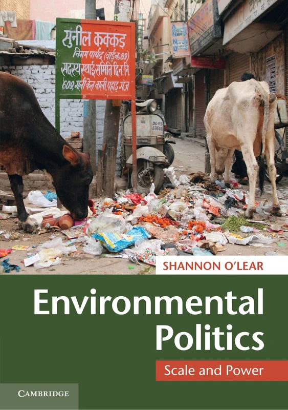 Environmental Politics: Scale and Power