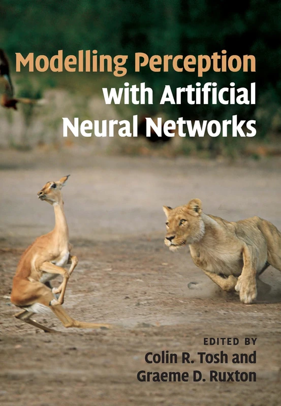 Modelling Perception with Artificial Neural Networks