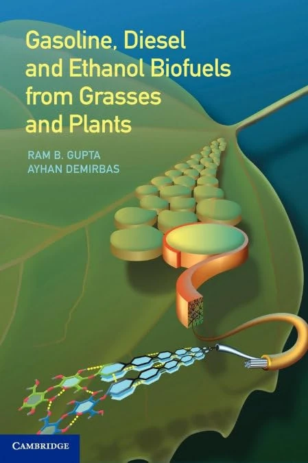 Gasoline, Diesel, and Ethanol Biofuels from Grasses and Plants