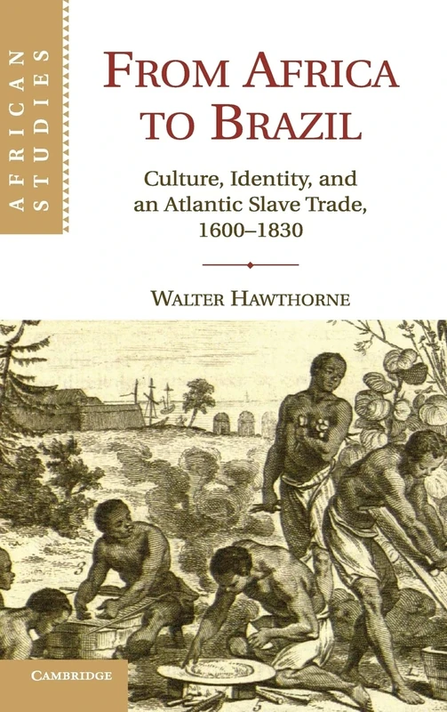 From Africa to Brazil: Culture, Identity, and an Atlantic Slave Trade, 1600–1830: 113 (African Studies, Series Number 113)
