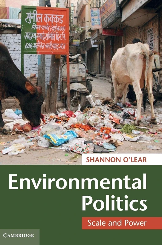 Environmental Politics: Scale and Power