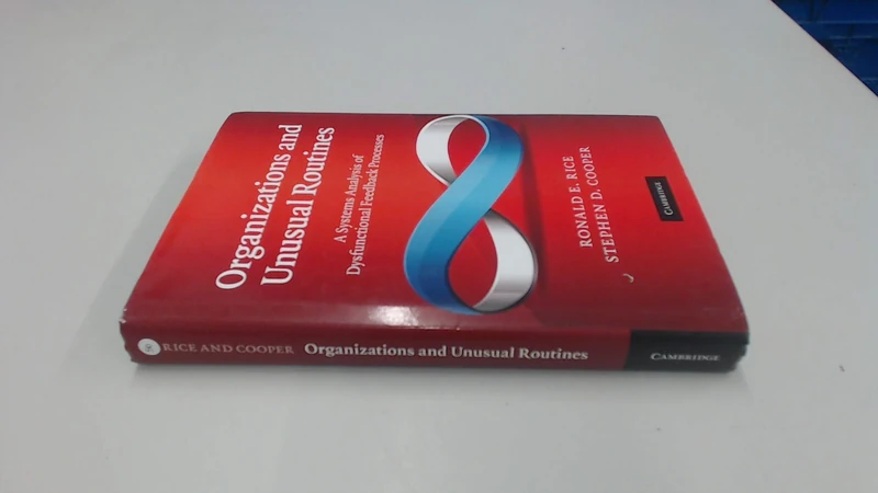 Organizations and Unusual Routines: A Systems Analysis of Dysfunctional Feedback Processes