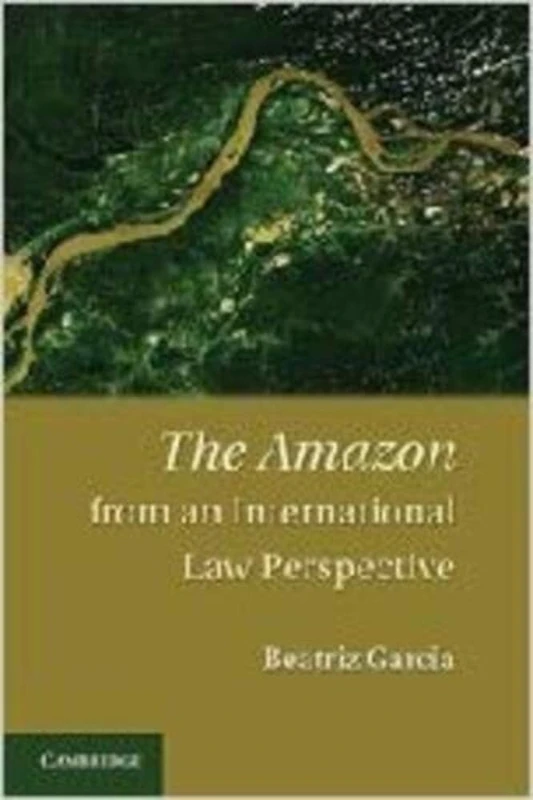 The Amazon from an International Law Perspective